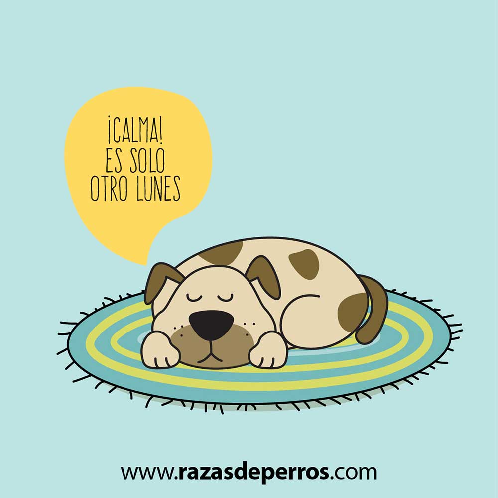 ilustración divertida de perro ¡calma! solo es otro lunes desvíocreativo
