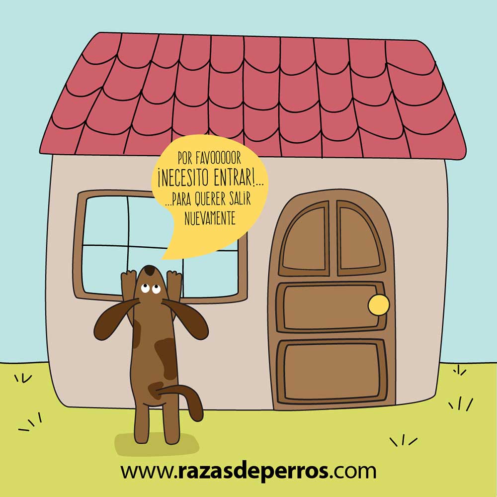 ilustración divertida de perro necesito entrar para salir nuevamente desvíocreativo
