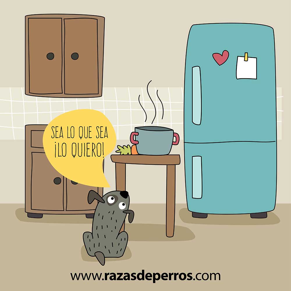 ilustración divertida de perro sea lo que sea lo quiero desvíocreativo