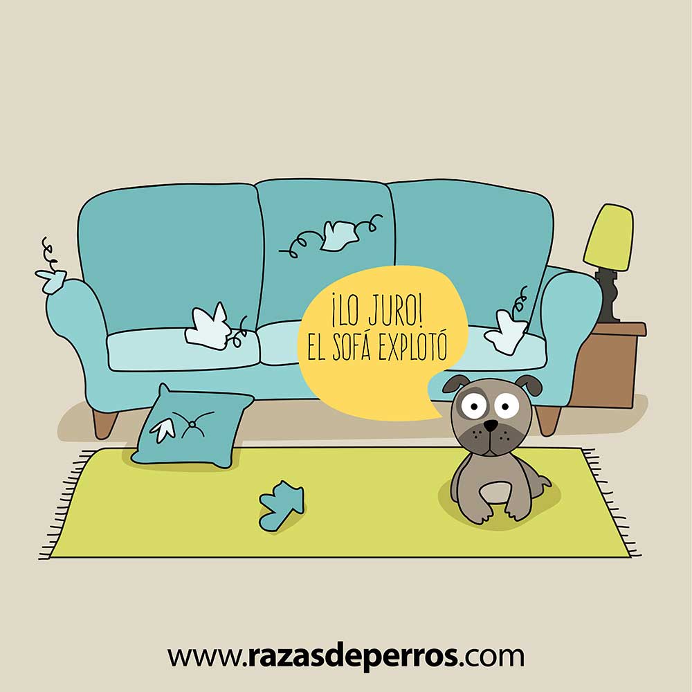 ilustración divertida de perro lo juro el sofá exploto desvíocreativo
