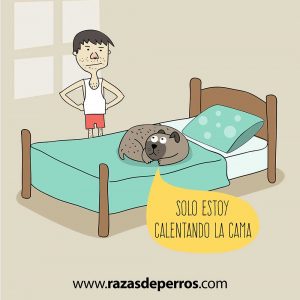 ilustraciones divertidas de perro solo estoy calentando la cama desviocreativo