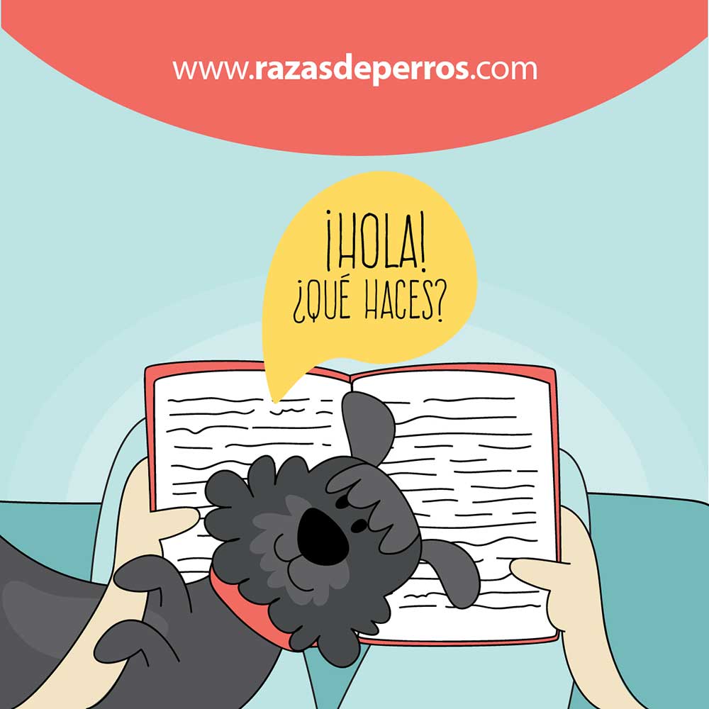 ilustración divertida de perro ¡hola! ¿qué haces? desviocreativo