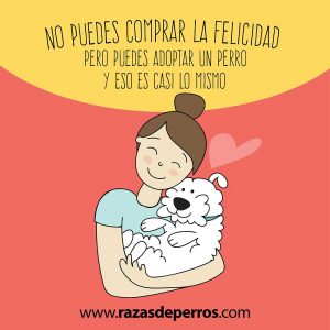 ilustración divertida de perro adopta un perro desviocreativo