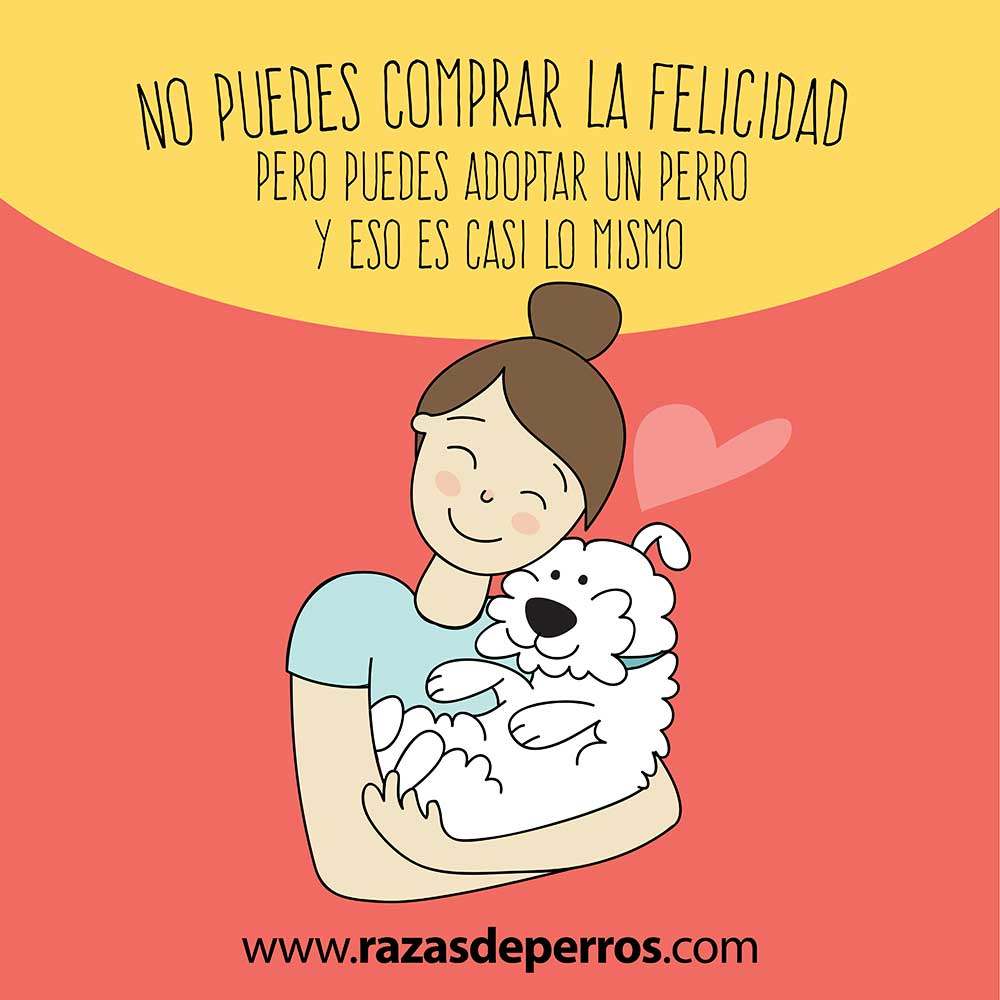 ilustración divertida de perro adopta un perro desviocreativo