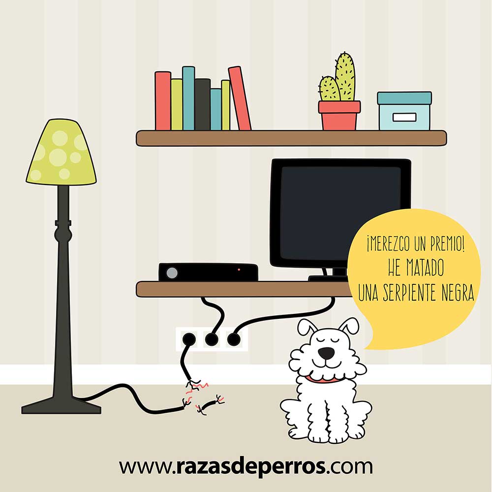 ilustración divertida de perro he matado una serpiente negra desviocreativo