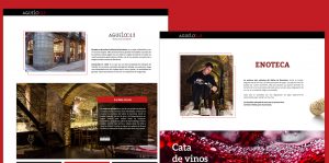 diseño de pagina web barcelona