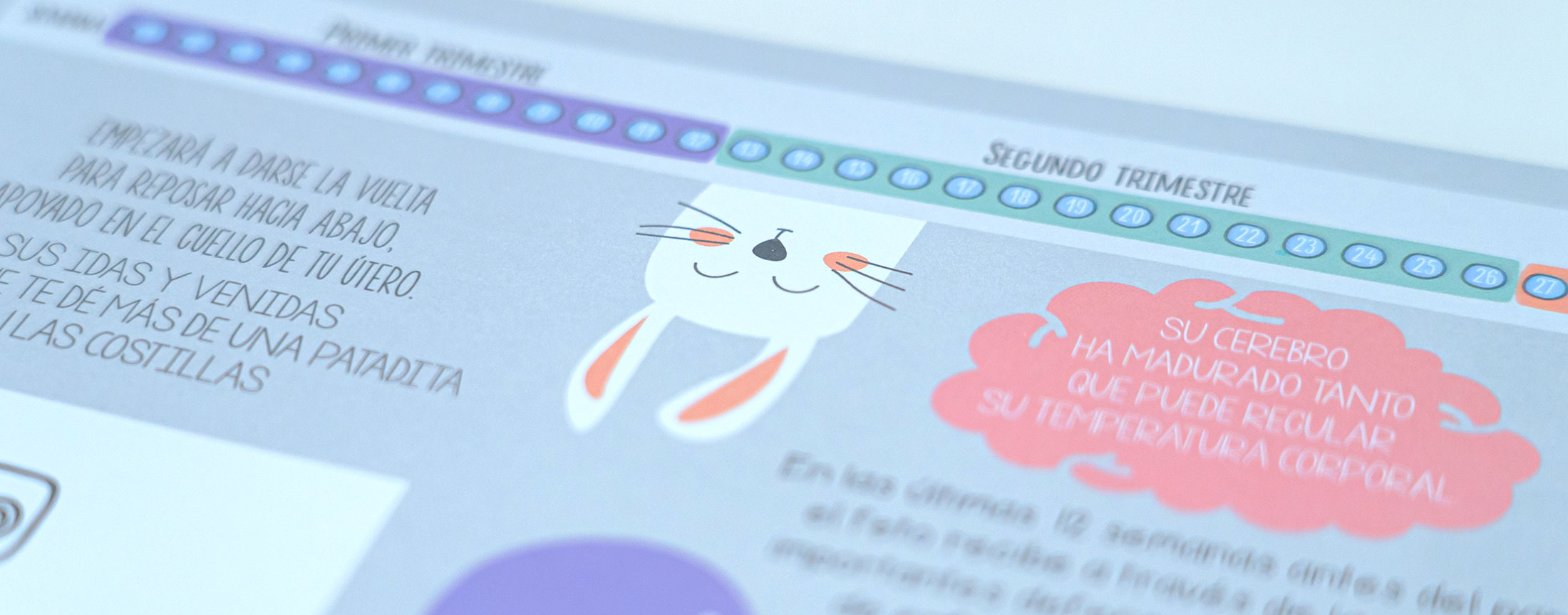 ilustracion