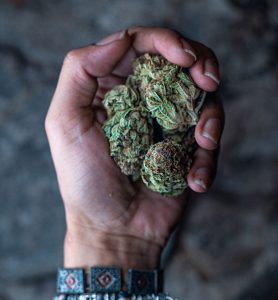 mano-con-cannabis desvío creativo